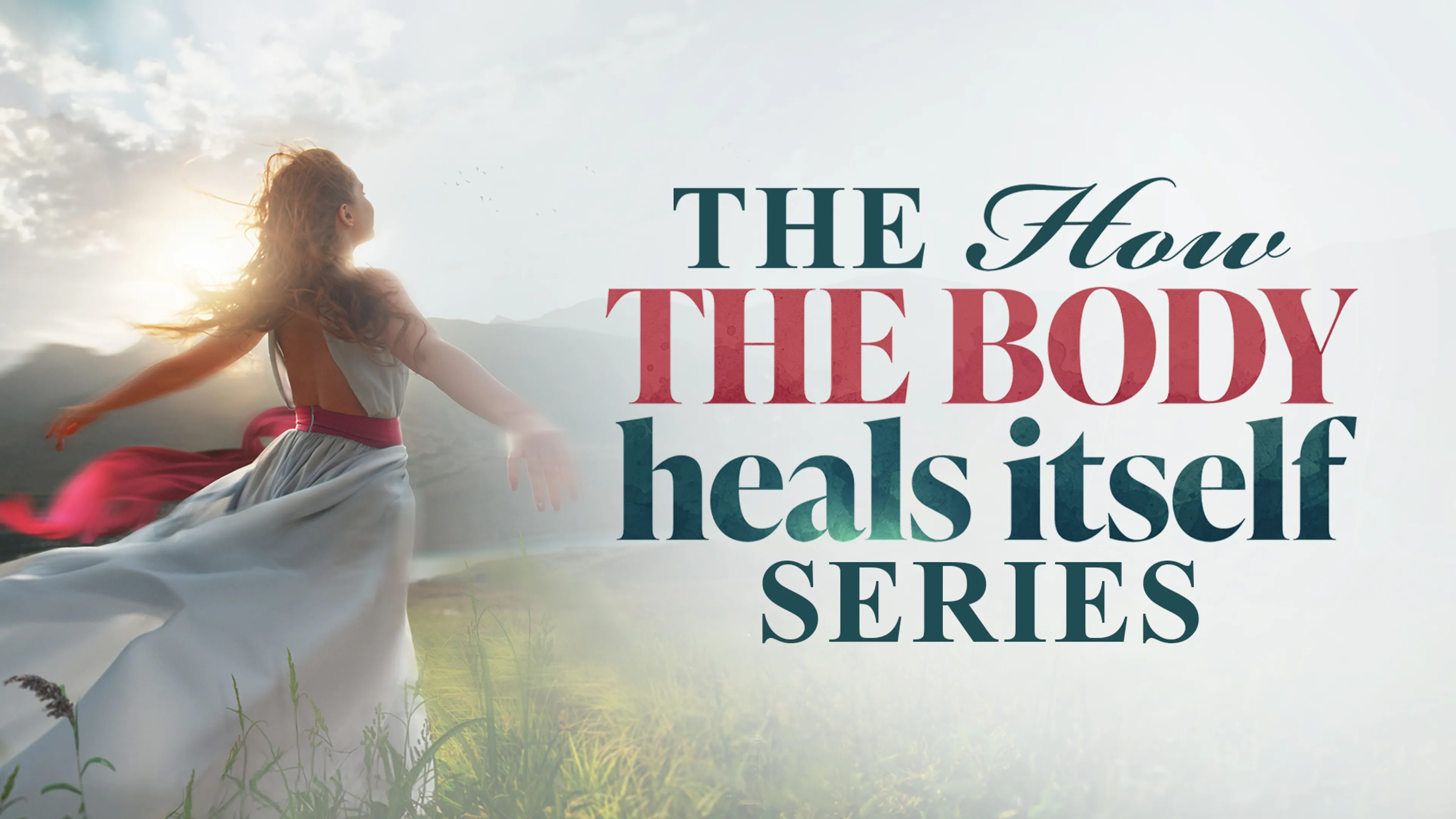 The How the Body Heals Itself Series poster